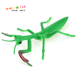 仿真螳螂模型塑胶野生昆虫多足动物玩具刀螂祷告虫假螳螂拍摄道具