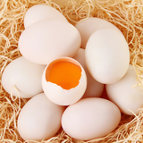 2016广西新鲜农家散养放养鸭蛋非饲料杂粮安全营养鸭蛋30枚包邮