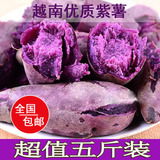 特产小紫心薯番薯生紫薯红薯粗粮地瓜农家自种新鲜黑薯两斤装包邮