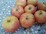 特大红富士苹果烟台栖霞富士苹果新鲜水果 绿色农产品砀山特产