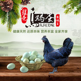 绿壳乌鸡蛋纯天然新鲜绿壳鸡蛋18枚散养乌鸡蛋再送2枚初产土鸡蛋