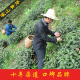 和合茶业春季袋装茶叶家庭装250g霍山黄芽黄茶2016年新茶春茶绿茶