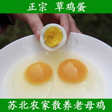 正宗苏北农家散养土鸡蛋 柴鸡蛋 草鸡蛋 买48只送12只包邮野鸡蛋