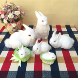 冲量促销仿真动物兔子玩具模型大白兔桌面摆件森林系摄影道具兔子