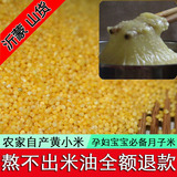 小米子 2015年新货农家自产有机黄小米宝宝米月子米小米粥250g