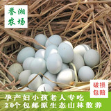 正宗农家有机散养新鲜绿壳土鸡蛋纯天然营养柴鸡蛋自养草鸡蛋包邮