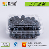 蔬果乐 一次性 透明塑料盒 水果盒蓝莓盒加厚PET包装盒-125g100个