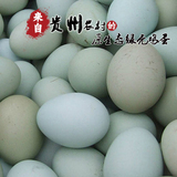 雷阿哥富硒绿壳鸡蛋 农家散养新鲜乌鸡蛋30枚 天然有机土鸡蛋包邮