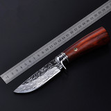 新品进口大马士革钢直刀户外生存专用刀猎刀收藏多用刀手工刀小刀