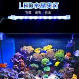 鱼缸夹灯LED高亮度水族箱超亮节能蓝白光小鱼缸水草灯架特价包邮