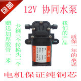 隔膜微型小泵农用电动喷雾器水泵12V自吸泵高压洗车泵水钻机配件