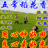 特价包邮15年东北黑龙江贡米五常 正宗农家稻花香有机新大米试吃