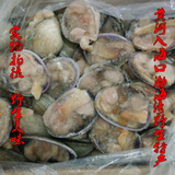 天鹅蛋野生500g、黄河入海口渤海湾半壳海大蛤蜊海鲜贝类三件包邮