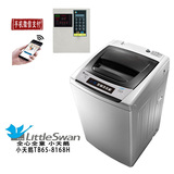 Littleswan/小天鹅 TB65-8168H投币洗衣机6.5公斤自助商用洗衣机