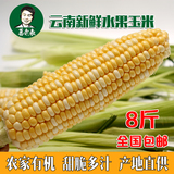 云南新鲜水果玉米农家有机无非转基因蔬菜甜玉米产地直供8斤包邮