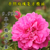 平阴玫瑰精油 9.99%玫瑰单方精油添加正品复方精油美白保湿抗皱