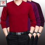 时尚青年男针织衫毛衣 正品冬季V领纯色羊绒衫 国际品牌新款毛衣