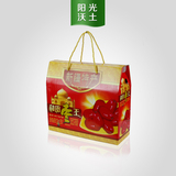 和田枣干果礼盒包装纸箱3层牛皮彩印瓦楞厂家批发定做现货