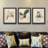 美式乡村装饰画餐厅客厅植物画实木有框画 沙发挂画玄关壁画 花卉