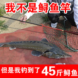 日本进口碳素钓鱼竿5.4米超轻超细鱼竿碳素37调鲫鱼钓鱼竿台钓竿