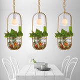 花草盆栽植物吊灯创意个性酒吧餐厅吧台田园灯咖啡厅复古阳台灯具