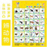 小孩儿电子语音早教益智玩具汉语拼音汉字母表有声音乐挂图墙贴纸