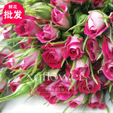 【爆款】喜庆坊鲜花批发 多头玫瑰红色粉色蔷薇小玫瑰 精品小月季