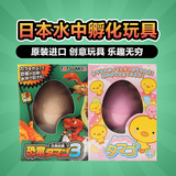日本创意早教玩具惊喜蛋鸡蛋 可孵化恐龙蛋新一代水孵膨胀出奇蛋