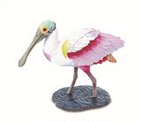 Safari琵鹭 荷兰国鸟 猛禽 鸟 飞禽仿真动物恐龙模型玩具2016新款