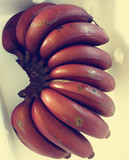 高大姐红皮香蕉5斤包邮现摘现发自然熟无催熟剂 新鲜水果香蕉