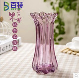 创意田园水晶玻璃花瓶客厅摆件百合水仙富贵竹兰花水培透明磨砂