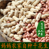 2015年湖南怀化特产新鲜日晒花生 带壳散装农家花生晒干带壳