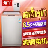海丫投币洗衣机 全自动8.5公斤洗被机 大容量商用洗衣机特价自助