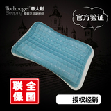Technogel凝胶枕头正品意大利进口记忆枕颈椎枕