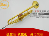 台湾原装正品 巴哈TR-600GS小号乐器 喷金防镀金 设计 性价比之王