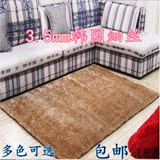 3厘米加密加厚韩国丝亮丝客厅地毯 高档细丝沙发地毯 飘窗地垫