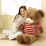可爱毛衣泰迪熊刺猬熊毛绒玩具情人节送女生生日礼物抱枕靠垫熊熊