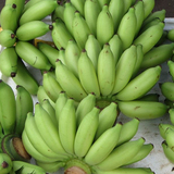 新鲜水果 小米蕉帝王糯有机香蕉 皇帝蕉批发低价水果青皮5斤包邮