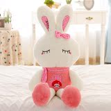 毛绒玩具兔子公仔布娃娃女3-4-5-6－7岁送小女孩女生生日礼物