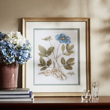 HH美式装饰画客厅花卉卧室沙发简约组合植物原版进口画芯蓝色蜀葵
