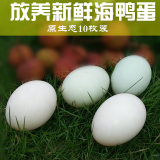 广西北海红树林正宗新鲜海鸭蛋无饲料放养土鸭蛋10枚装包邮