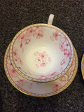 正品现货节日生日礼物英国皇室品牌骨瓷wedgwood樱花春蕾红茶杯碟