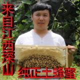 土蜂蜜纯天然农家自产500g液态蜜野生原蜂蜜百花蜜PK洋槐蜜槐花蜜