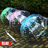居家家 创意女士小清新樱花大号雨伞 学生儿童透明长柄自动折叠伞