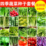 恋恋轩 蔬菜套餐菜种子 番茄 青菜 彩包家庭菜籽 四季播种包邮