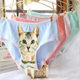 6件包邮 英国3D猫图案三角裤个性猫咪女士内裤全棉喵星人小猫内裤