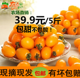 福建特产黄色圣女果小番茄 新鲜水果孕妇小西红柿农家直销5斤现摘