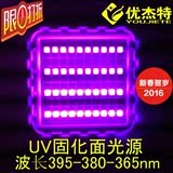 20-100W LED UV LED固化紫外线灯紫光光源灯珠395NM波段波长