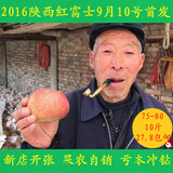 陕西礼泉红富士苹果新鲜农家自产自销纯天然甜脆孕妇水果10斤包邮