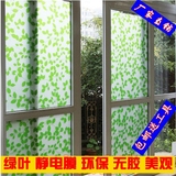 小绿叶静电玻璃贴膜居家用办公洗手间浴室隔断装饰膜窗膜墙贴免邮